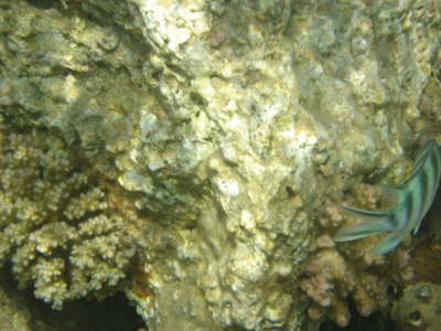 DSC00259
