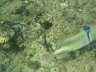 DSC00281