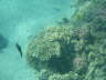 DSC00290