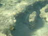 DSC00298