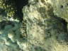 DSC00299
