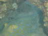 DSC00307