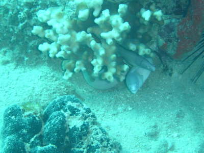 DSC00315