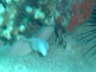 DSC00316