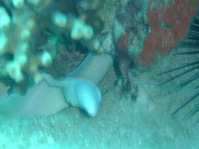 DSC00316