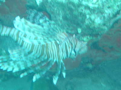 DSC00317