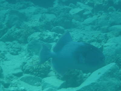DSC00319