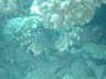 DSC00321