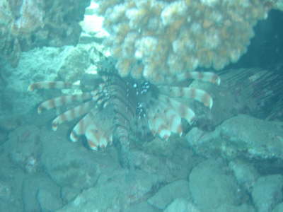 DSC00321