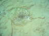 DSC00328