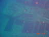 DSC00545