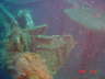 DSC00551