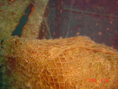 DSC00556