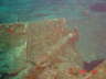 DSC00559