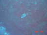 DSC00567