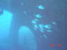 DSC00568