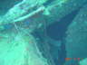 DSC00597