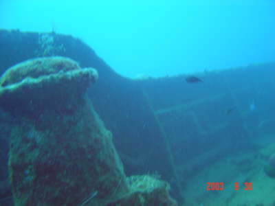 DSC00600