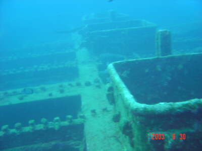 DSC00601