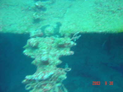 DSC00603