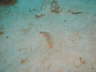 DSC00604