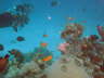DSC00605