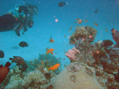 DSC00605