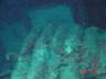 DSC00607