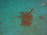 DSC00607