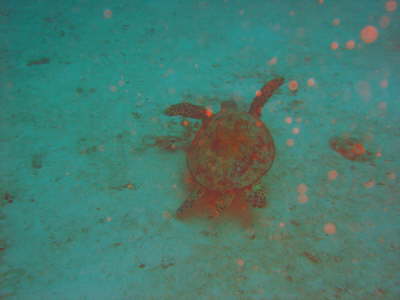 DSC00607