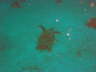 DSC00608