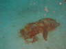 DSC00609