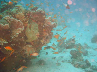 DSC00611
