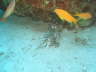 DSC00612