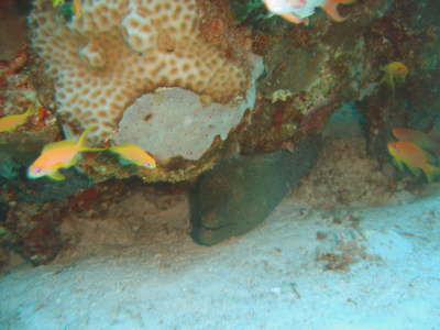 DSC00613