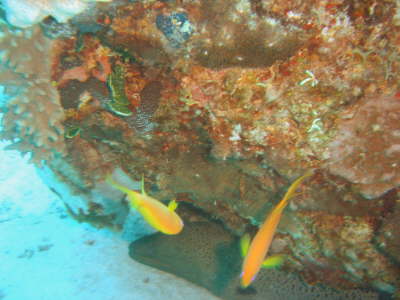 DSC00614