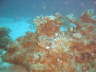 DSC00615