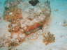 DSC00618
