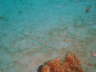 DSC00620