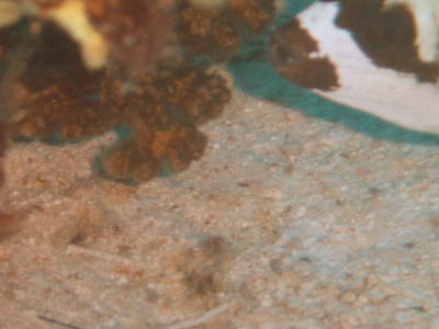 DSC00621