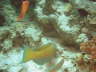DSC00627