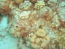 DSC00628