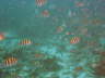 DSC00638