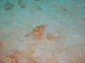 DSC00640