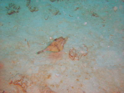 DSC00640