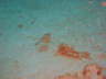 DSC00641