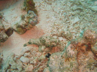 DSC00644