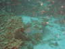 DSC00645