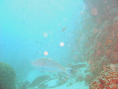 DSC00646