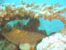 DSC00648